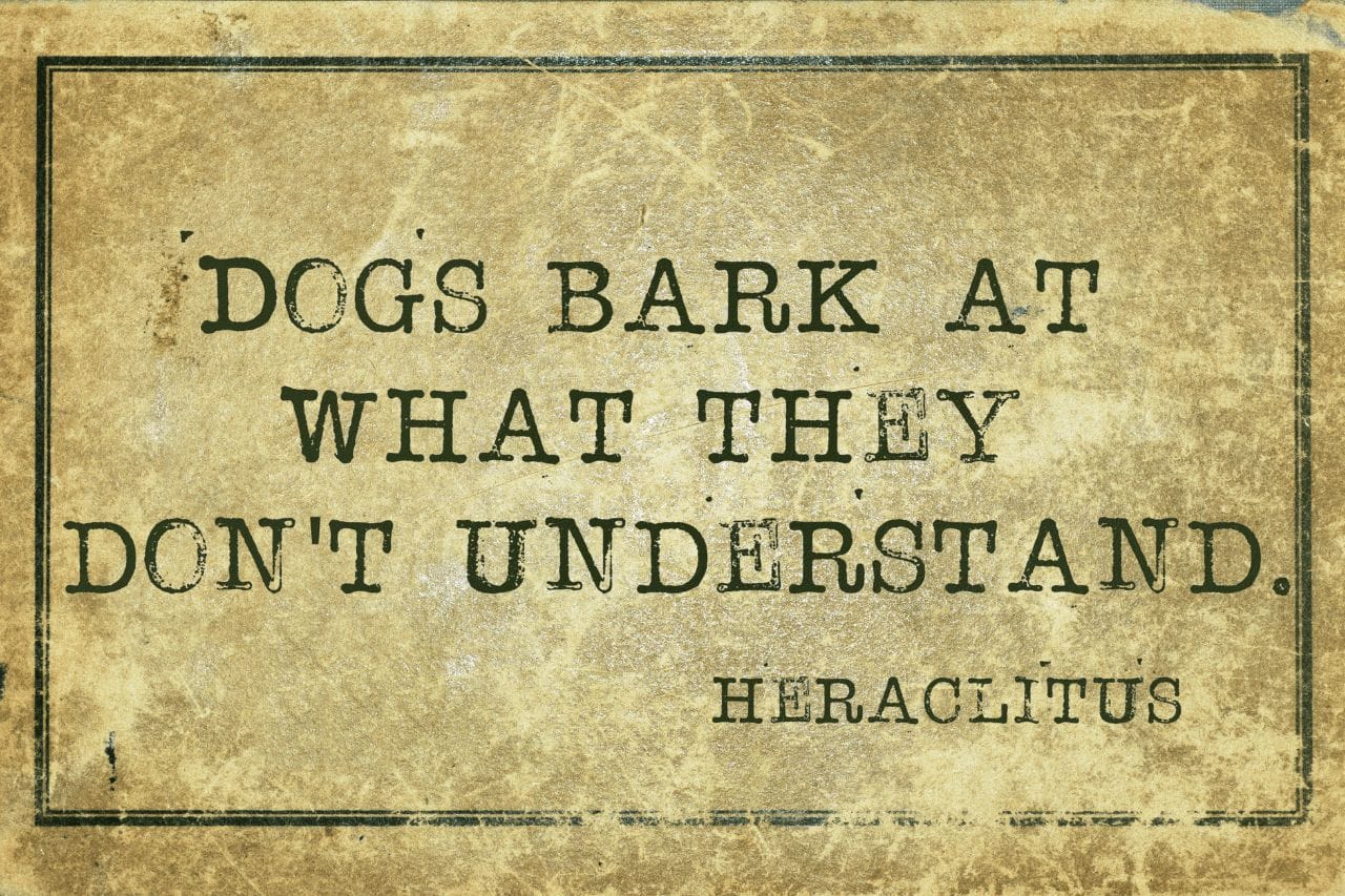 why-do-dogs-bark-8-needs-for-barking-dogtrainingbehavior