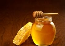 Is Honey Good For Dogs