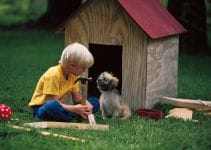 4 Steps How To Build A Dog House