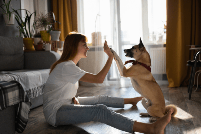  Types Of Dog Training Methods